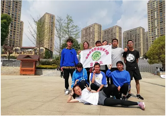 精彩图片
