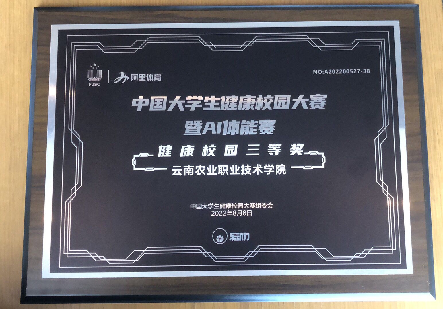 中国大学生健康校园大赛三等奖